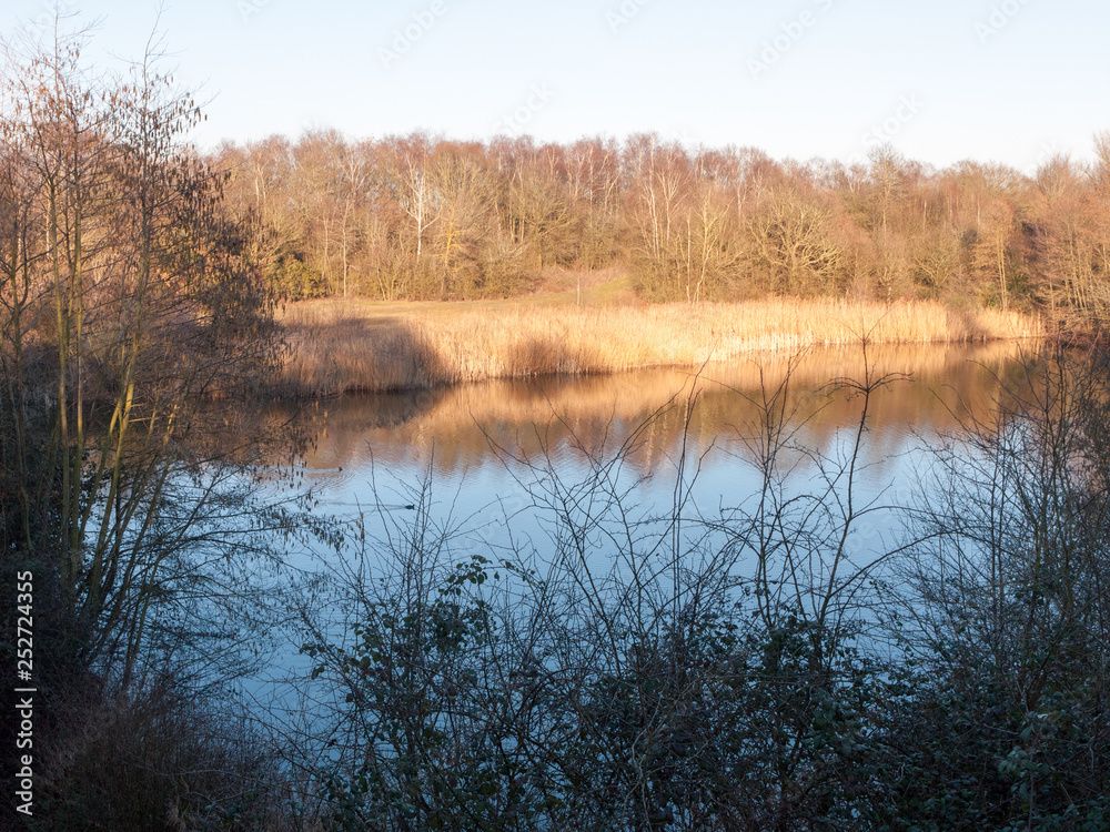 Fingringhoe wick nature reserve outside landscape background space open country countryside