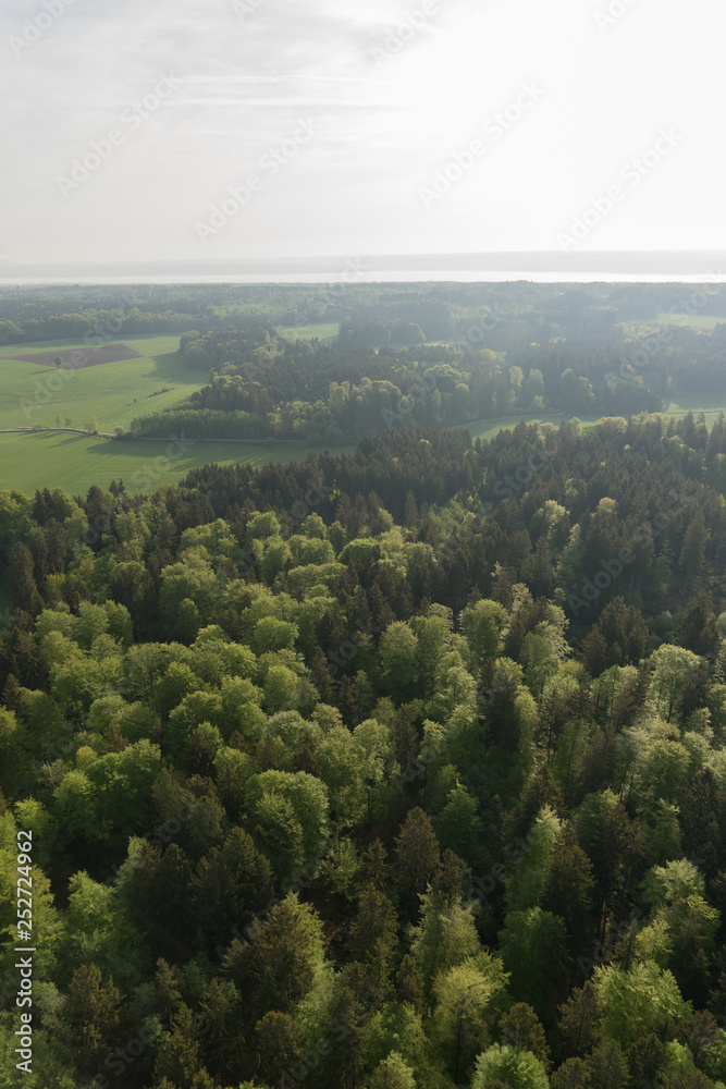 Wald- und Wiesenlandschaft in Bayern