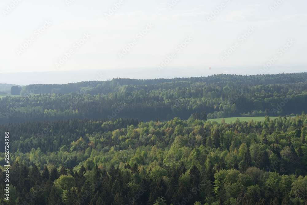 Wald und Wiesen-Landschaft im bayerischen Voralpenland