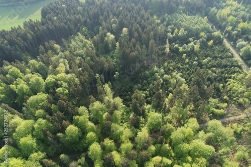 Wald-Landschaft im bayerischen Voralpenland - Luftbild © tina7si