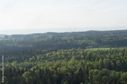 Fototapeta Naklejka Na Ścianę i Meble -  Wald und Wiesen-Landschaft im bayerischen Voralpenland