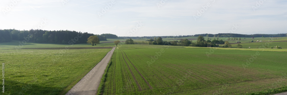 Feld- und Wiesenlandschaft in Bayern