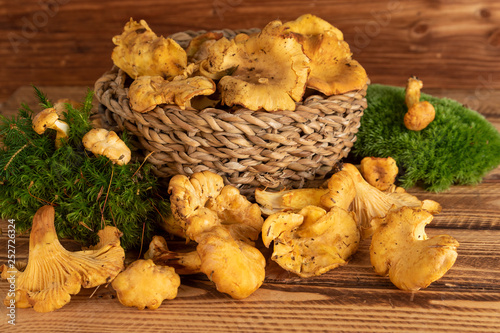 Chanterelles mushrooms on rustic wooden background