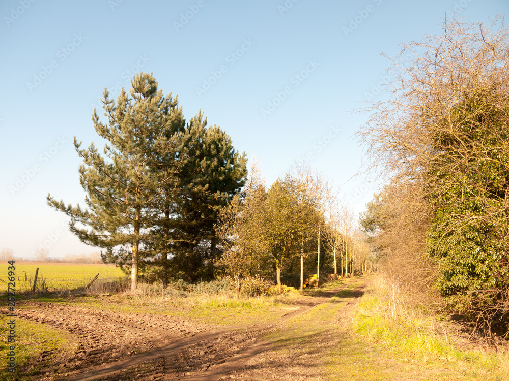 Obraz premium Beautiful countryside Dedham water scene outside nature landscape space