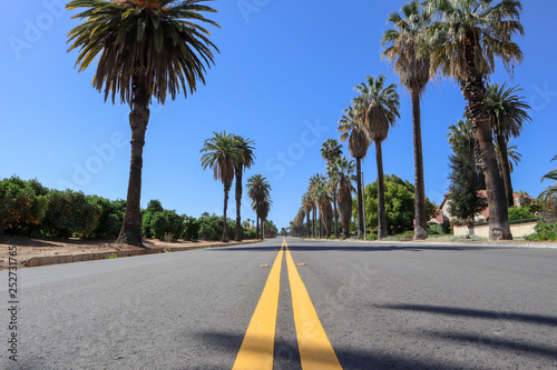 Fototapeta Naklejka Na Ścianę i Meble -  Southern California Road