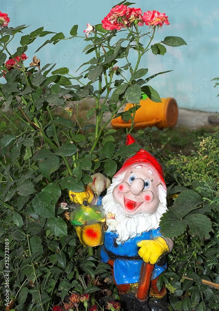 Beautiful, wellkept garden. Rose bush, watering can and garden gnome