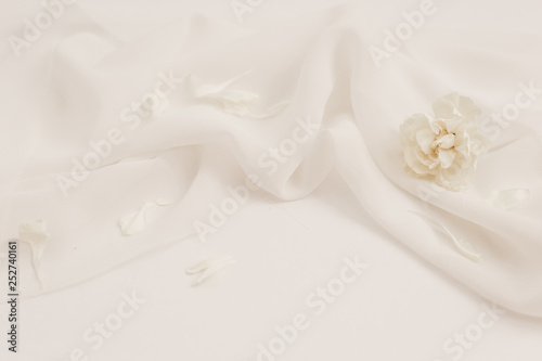 Elegant Neutral   White Floral