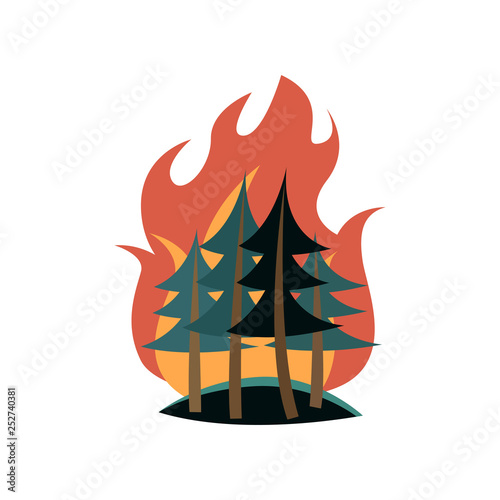 Spruces in forest on fire isolated on white background