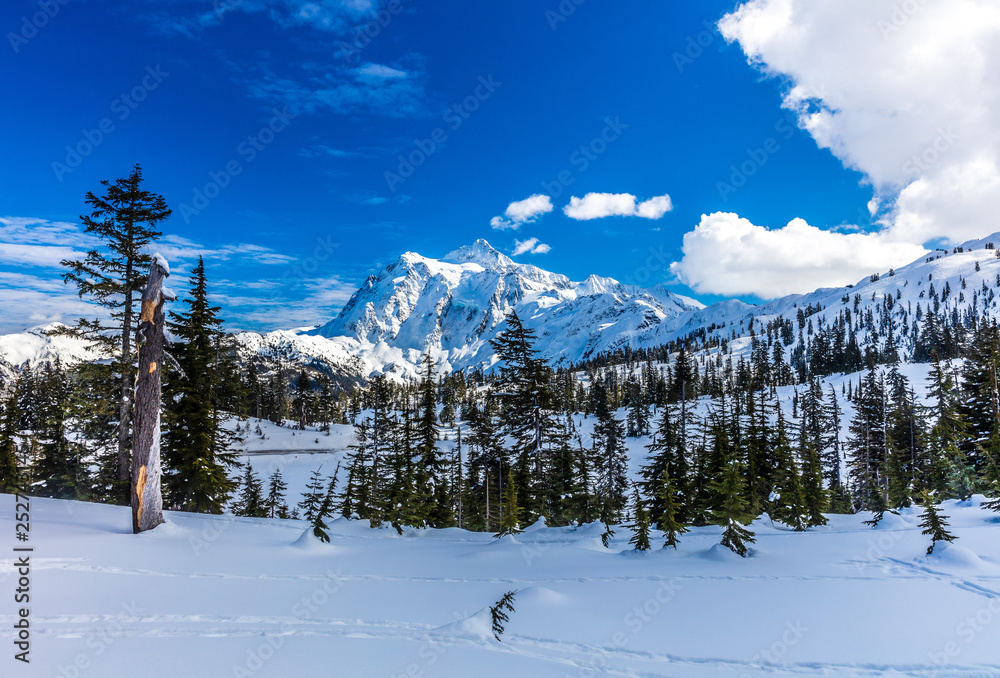 Mt. Shuksan in the winter snow