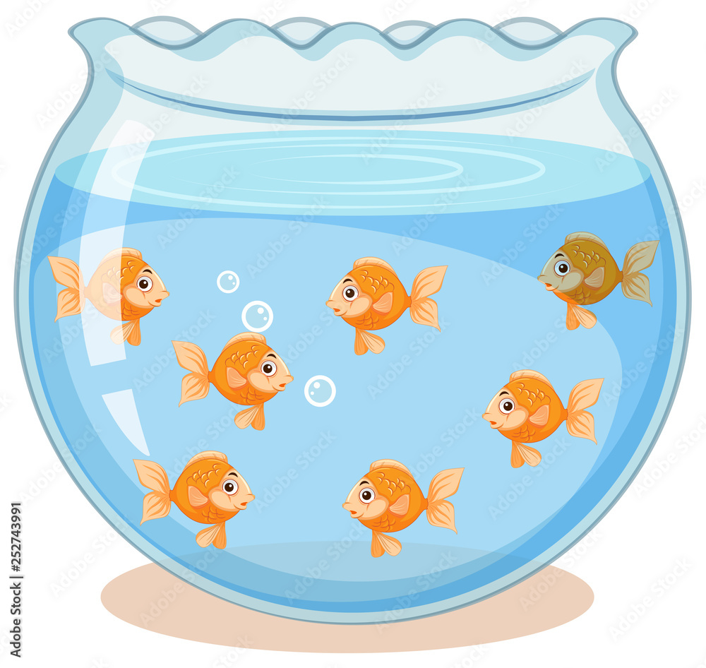 Golden fish in the tank Golden fish in the tank