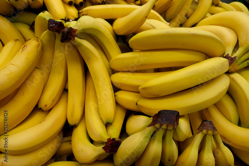 harvest of ripe yellow bananas on the market