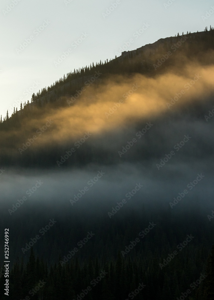 glowing mist over a tree covered mountain