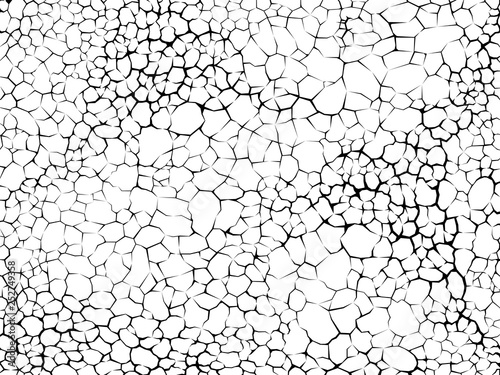 Earth cracks or plant roots on white background. Concrete wall Texture. Cracked pattern design vectors in polygon style.