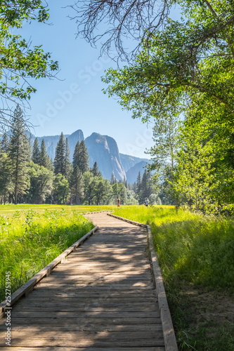 Walkway in Yosemite national park