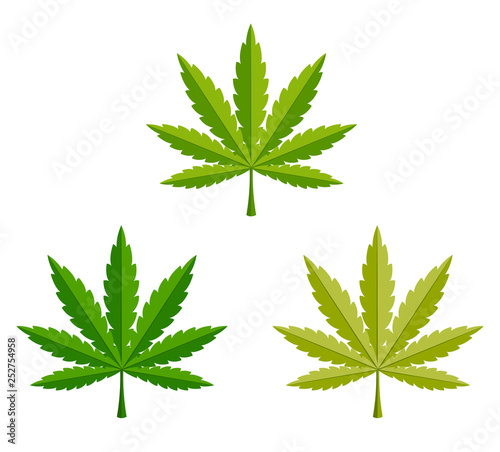 marijuana, leaf of a cannabis plant, Flat cartoon vector illustration isolated on EPS10.