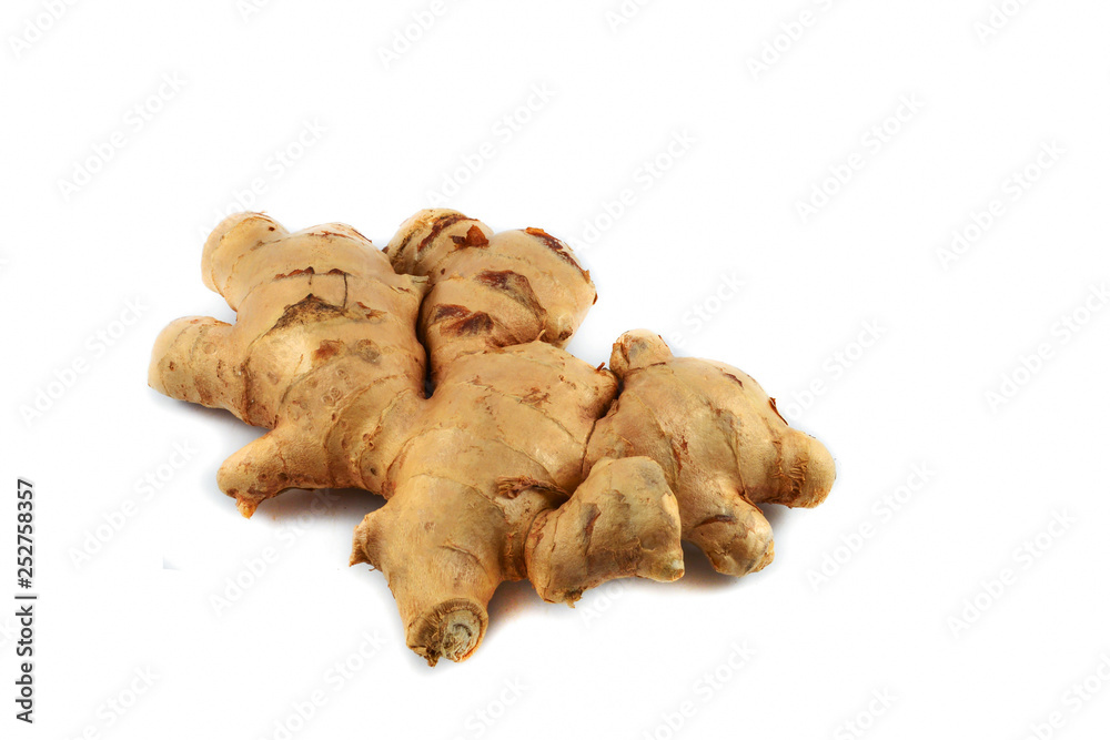 Fresh ginger root from the ginger farm isolated on white background Fresh ginger root from the ginger farm isolated on white background