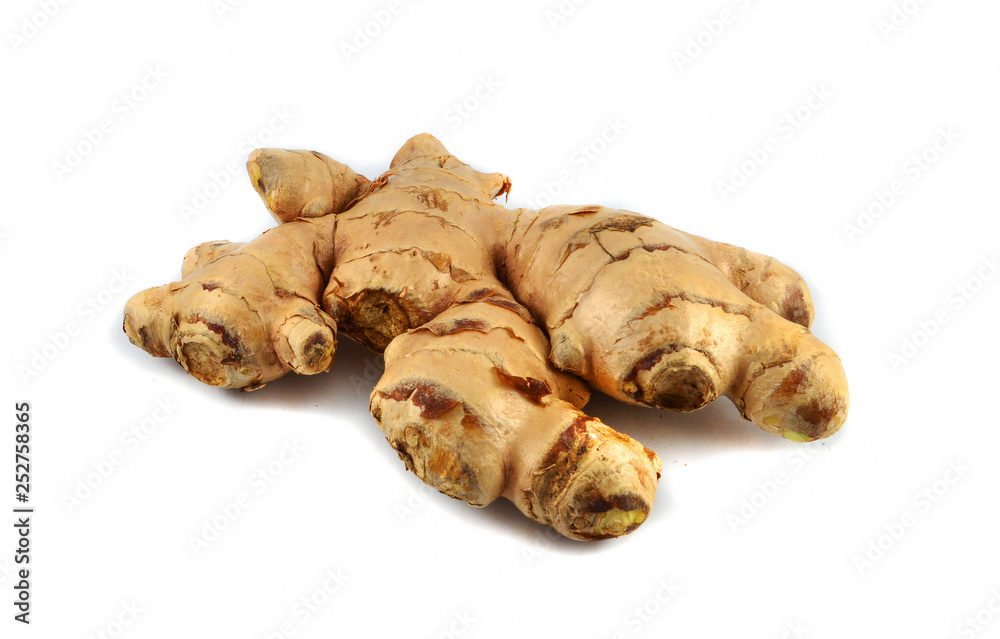 Fresh ginger root from the ginger farm isolated on white background