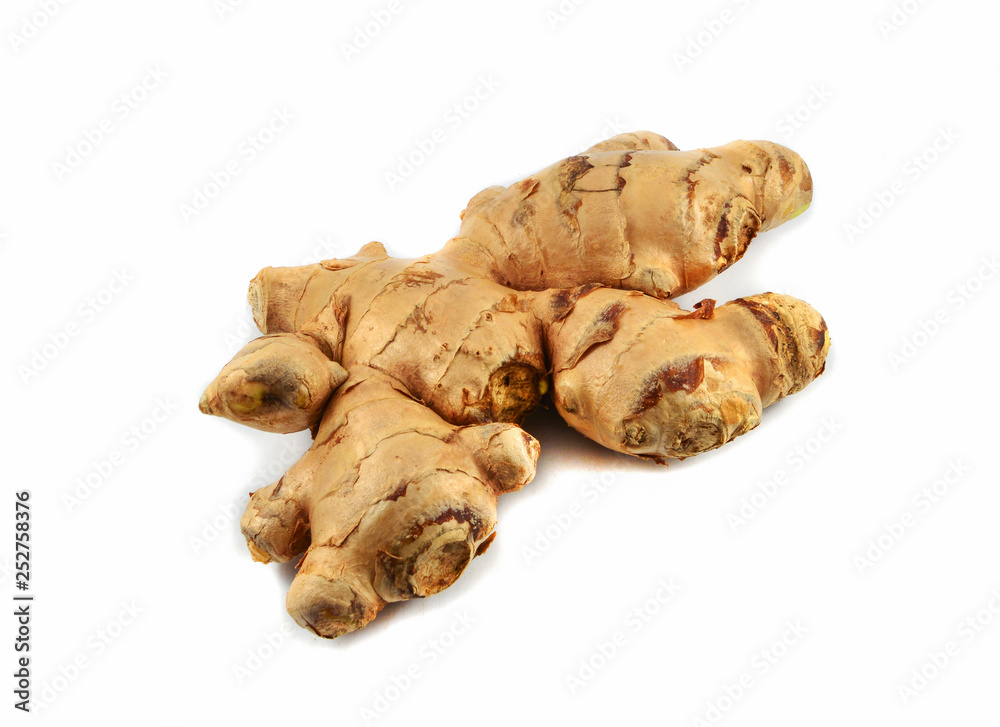 Fresh ginger root from the ginger farm isolated on white background
