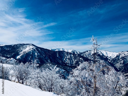 Beautiful winter landscape © TsunojiN