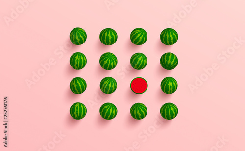 Minimal style watermelons from top view. 3D style Vector art.