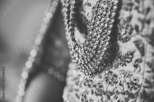 Indian bride's wearing her jewellery © Stella Kou