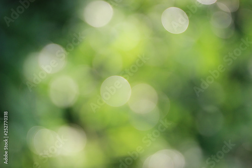 Abstract background blurred bokeh green color soft light.