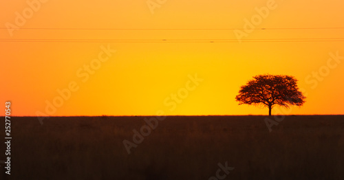 all aglo sunset over africa