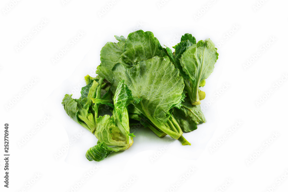 Fresh green leaves cabbage isolated on white background / Organic vegetable Fresh green leaves cabbage isolated on white background / Organic vegetable