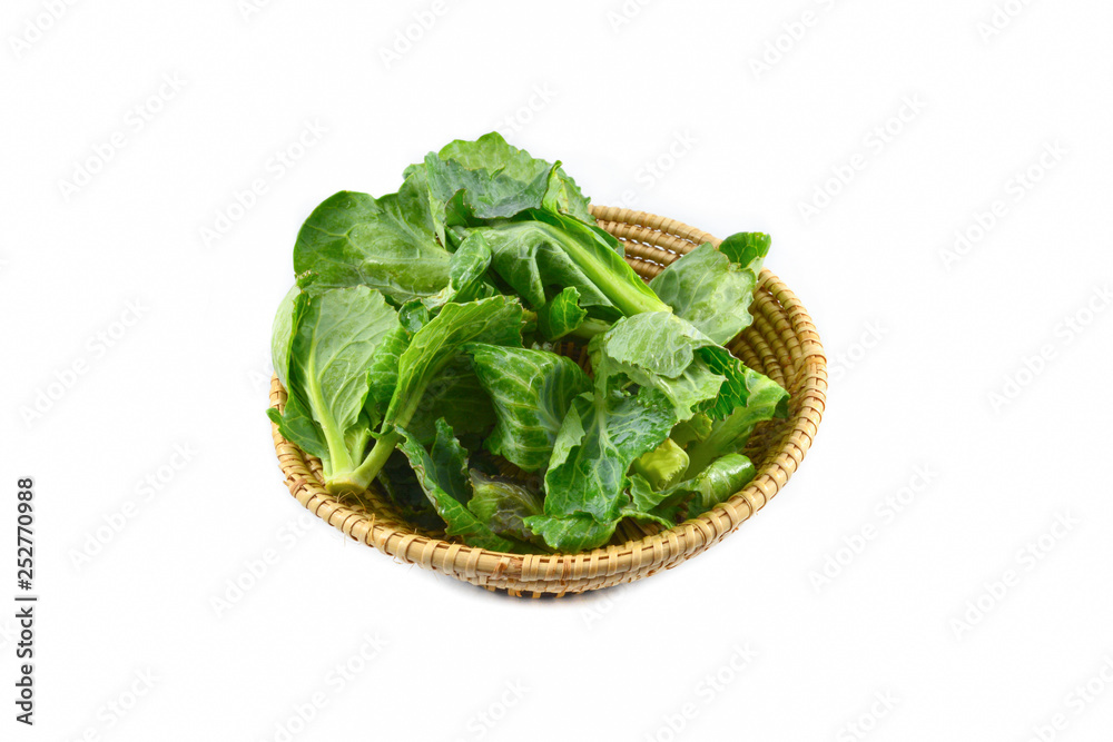 Fresh green leaves cabbage in the basket isolated on white background / Organic vegetable Fresh green leaves cabbage in the basket isolated on white background / Organic vegetable