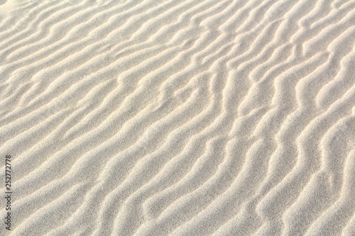 Rippled Beach Sand