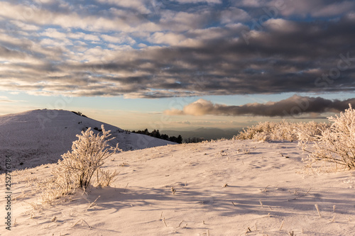 Subasio mountain (Umbria, Italy) in winter, covered by snow, with plants and sun