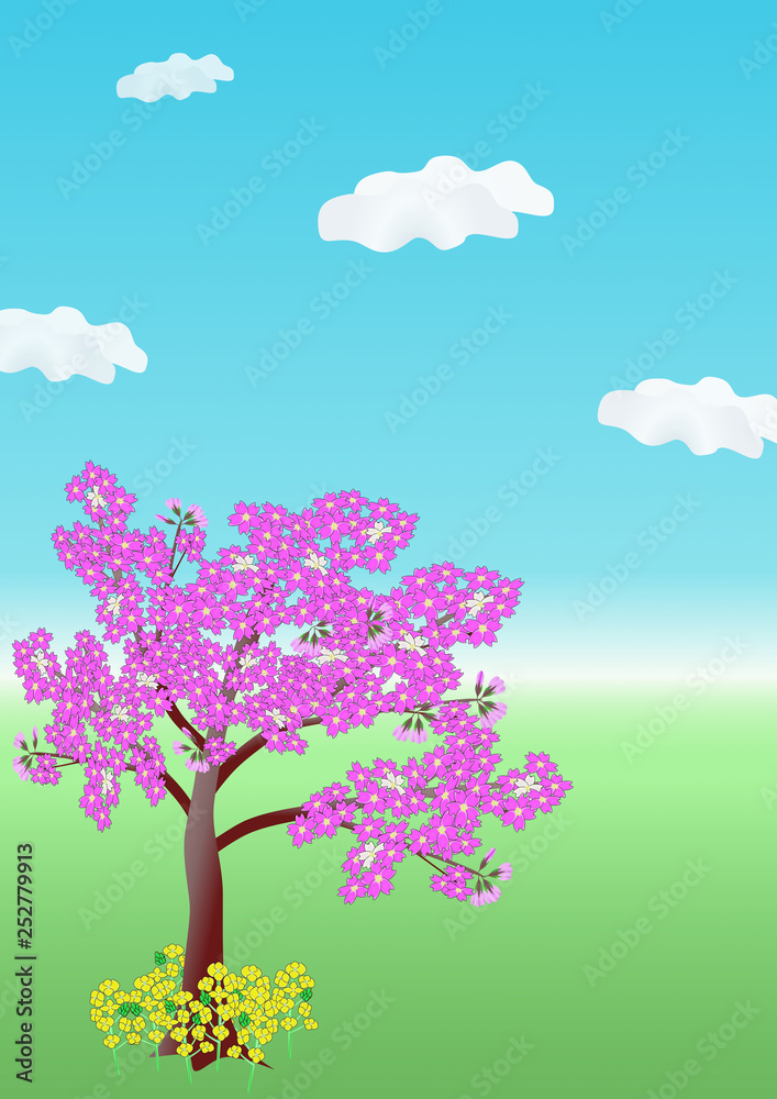 Obraz premium 花のある風景・春・桜と菜の花