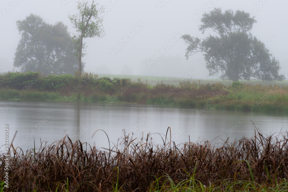 A misty and rainy morning overlooking a birdwatching pond. A misty and rainy morning overlooking a birdwatching pond.