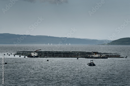 Fishnish marine farm of net pens aquaculture on the Sound of Mull with sailboats from Fishnish Lochaline Ferry Scotland UK photo