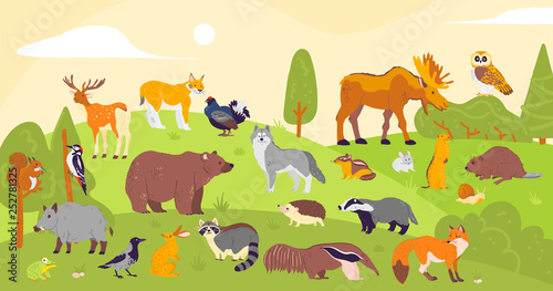  Vector collection of forest animals and birds: bear, fox, hare, owl isolated on woodland landscape background. Flat hand drawn style. Good for children book illustration, alphabet, banner, zoo etc.
