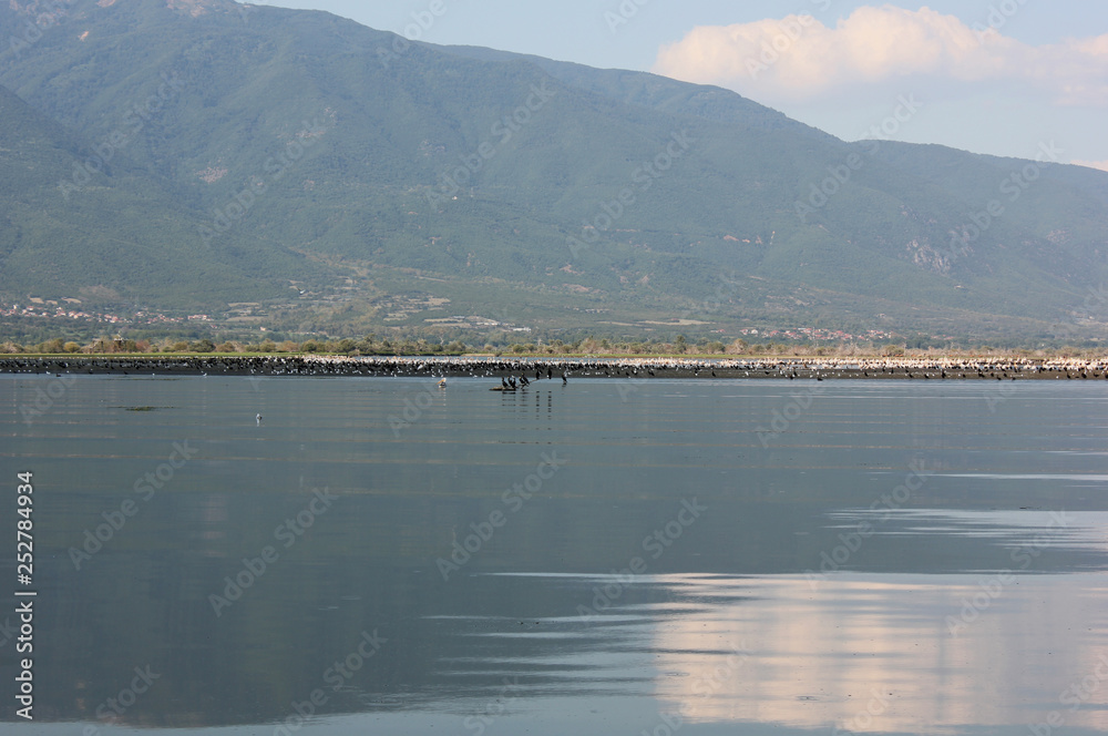 Obraz premium Lake of Kerkini Serres Greece Europe