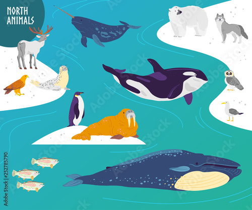 Vector flat hand drawn set of north animals, birds, fish: polar bear, owl, whale, penguin. Northern landscape with snow and water. For banner, zoo illustration, logo, card, children alphabet, print.