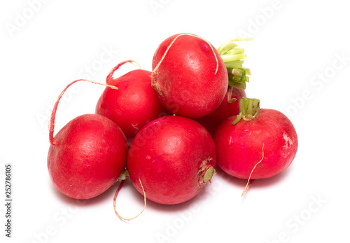 Radish red, isolated white background, vegetarian food.