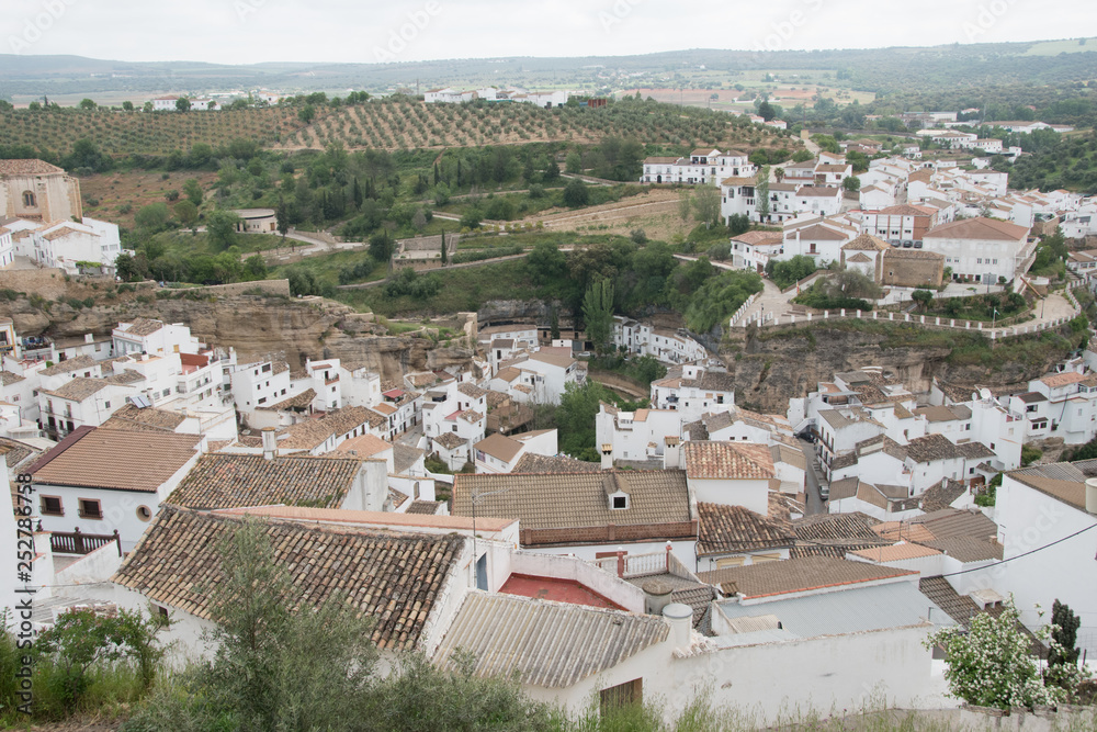 Obraz premium troglodyte