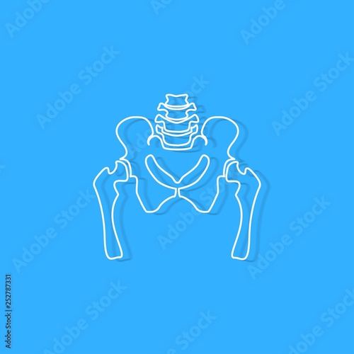 pelvic bone on blue background