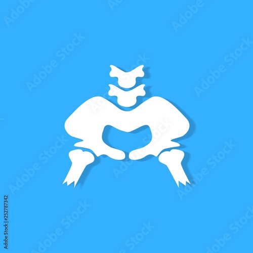 pelvic bone on blue background