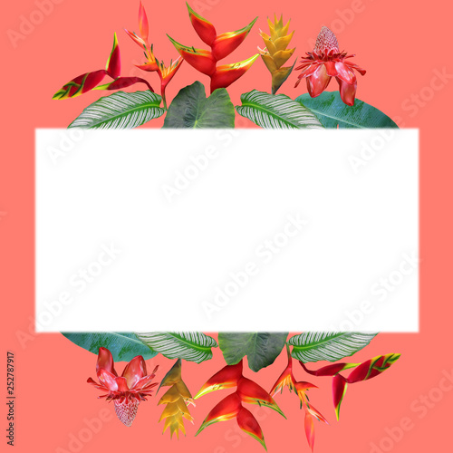 Photo collage of Heliconia and ginger flowers and leaves on coral background