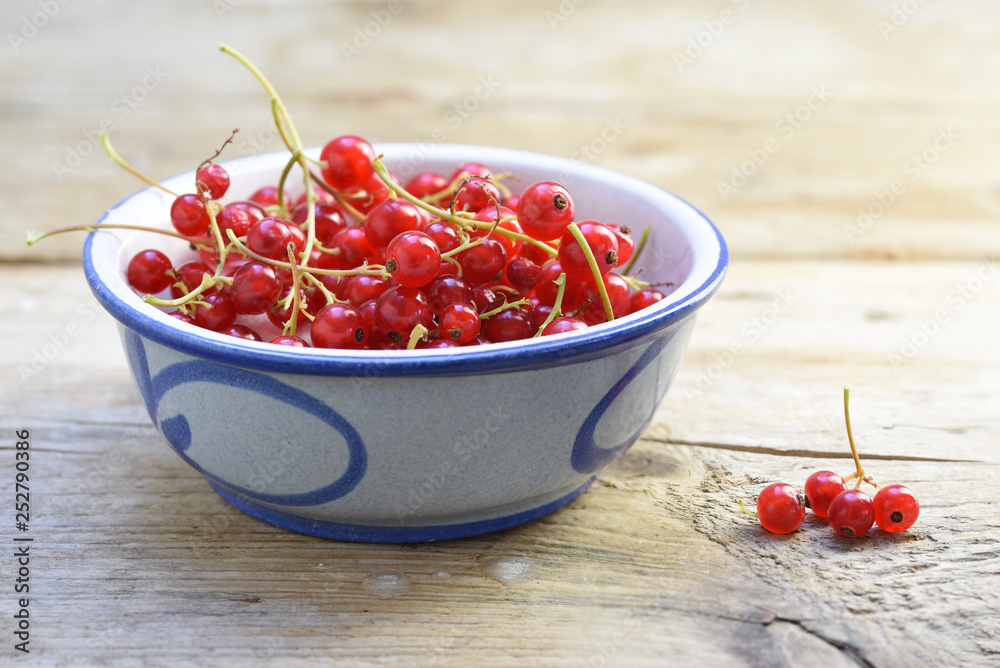 organic red currant berries in a blue ceramic bowl on a rustic wooden table with copy space organic red currant berries in a blue ceramic bowl on a rustic wooden table with copy space