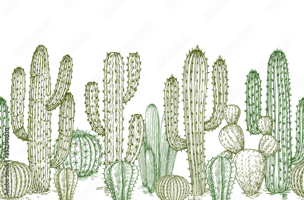 Cactus seamless pattern. Sketch desert cactuses plants endless border for western landscape vector illustration. Seamless pattern cactus sketch, floral botanical