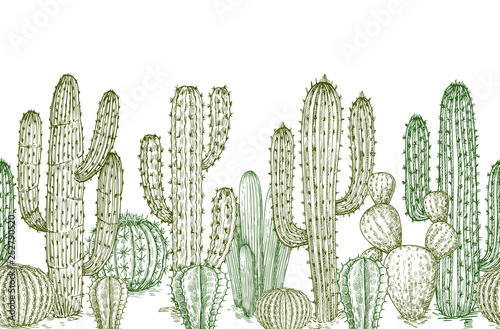 Cactus seamless pattern. Sketch desert cactuses plants endless border for western landscape vector illustration. Seamless pattern cactus sketch, floral botanical