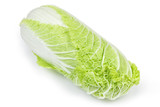 Head of napa cabbage close-up on a white background