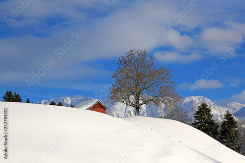 Allgäu - Stadel - Berge - Winter - Hindelang