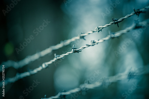 Lines of barbed wire to demarcate the border