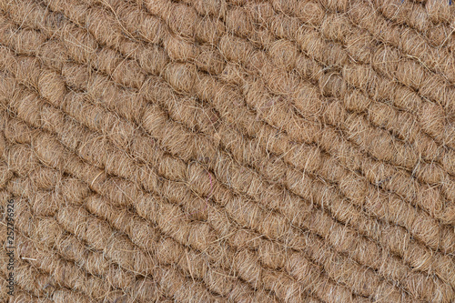 texture coconut shell's hair