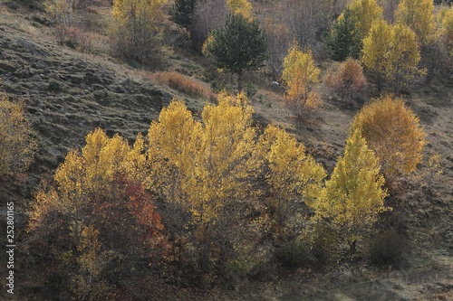 Autumn forest and village photos/savsat/artvin turkey 